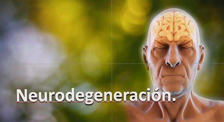 Neurodegeneración 1