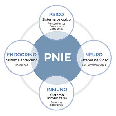 Circulos PNIE